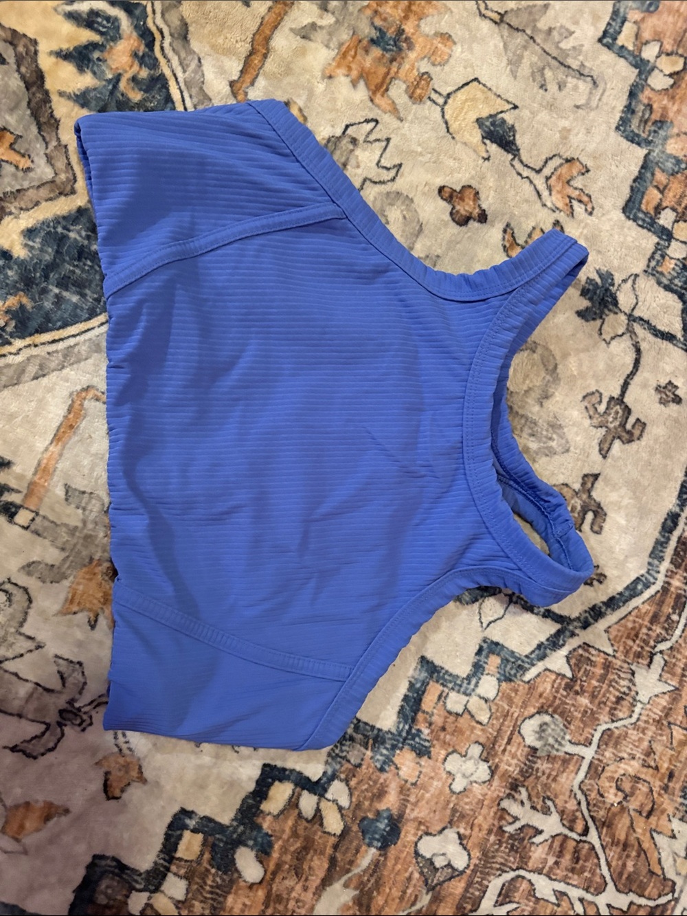 Amazon Women's Blue Ribbed Bodysuit